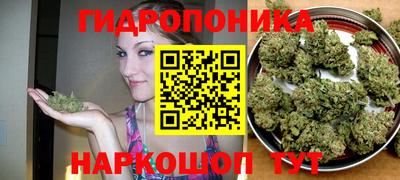 винт Ипатово