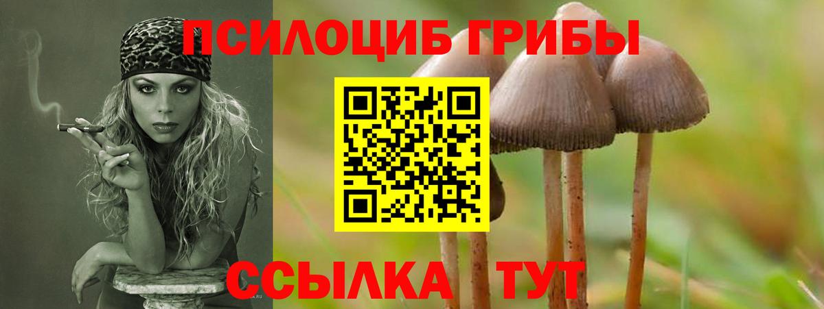 Псилоцибиновые грибы ЛСД  Псилоцибиновые грибы Magic Shrooms  Вход с VPN  Мирный 